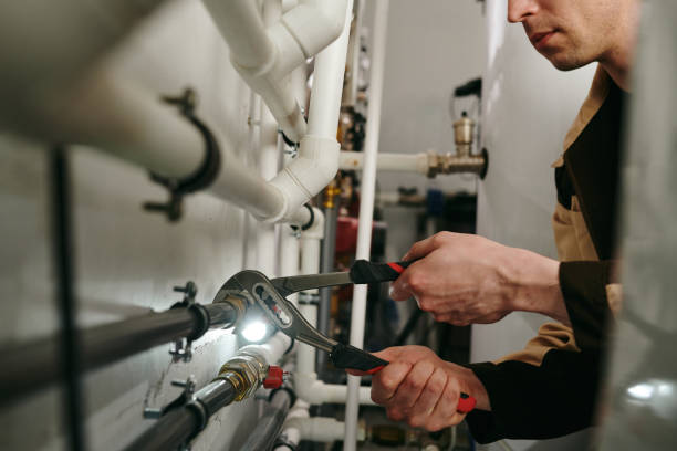 Best Local Plumber Services  in Tamaqua, PA